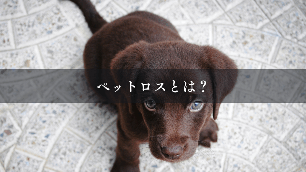 ペットロスとは?