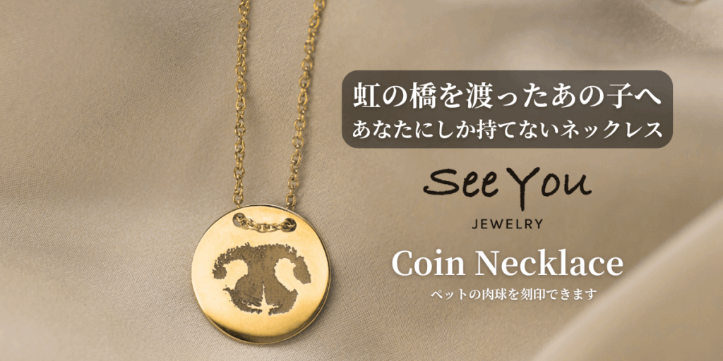 【See You Jewelry】コインネックレス イエローゴールド
