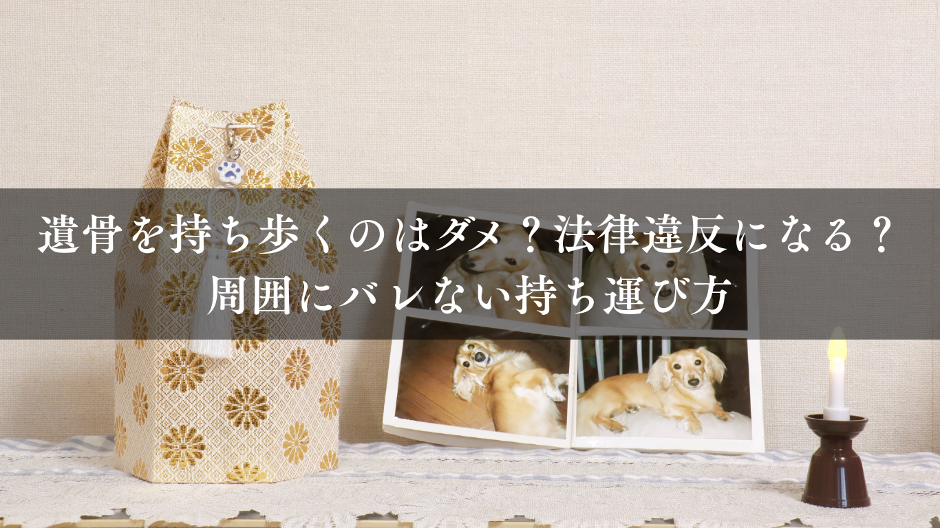 遺骨を持ち歩くのはダメ?法律違反になる?周囲にバレない持ち運び方