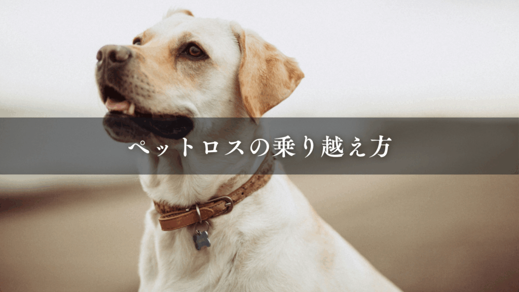 ペットロスの乗り越え方