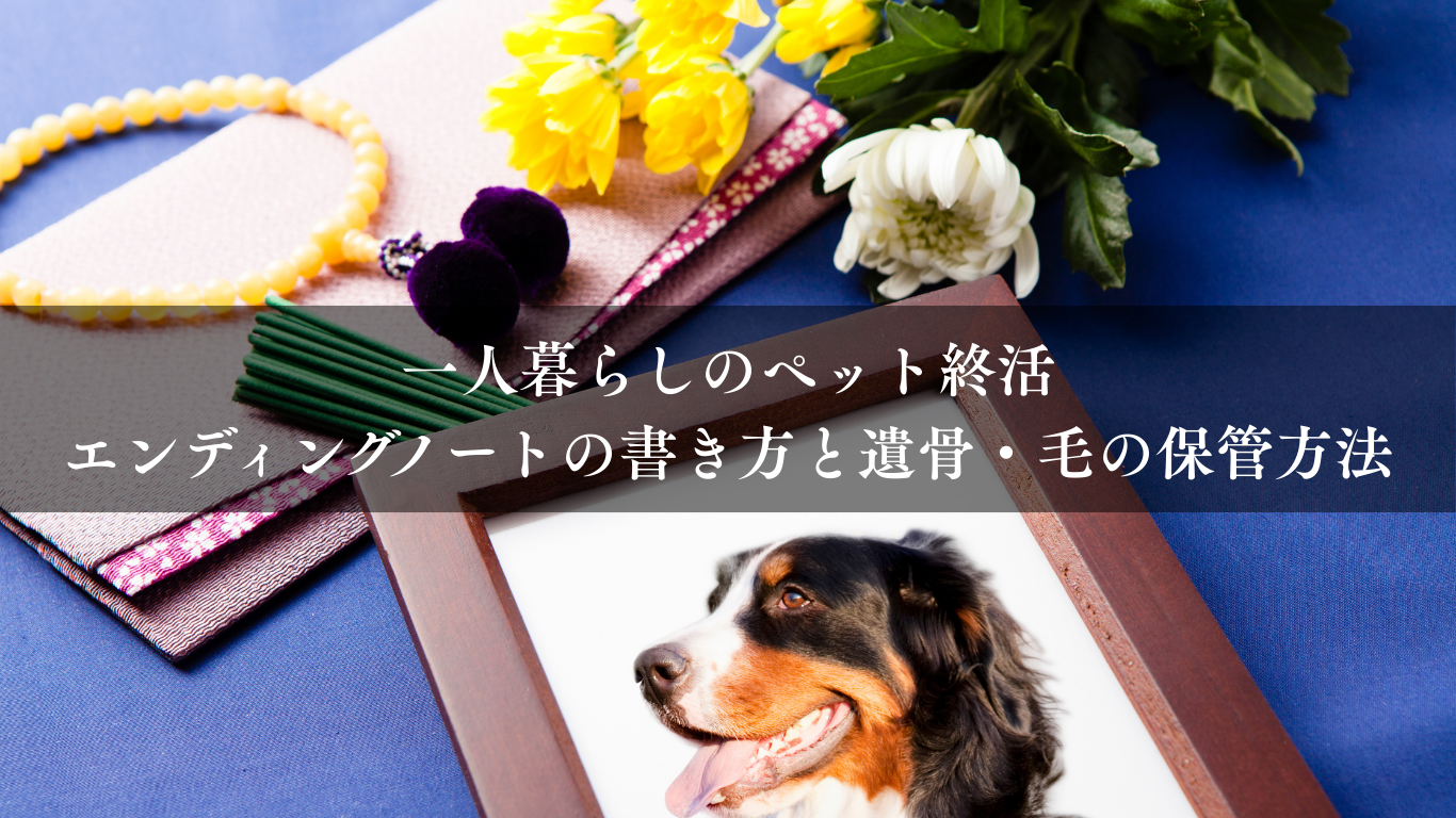 一人暮らしのペット終活 | エンディングノートの書き方と遺骨・毛の保管方法