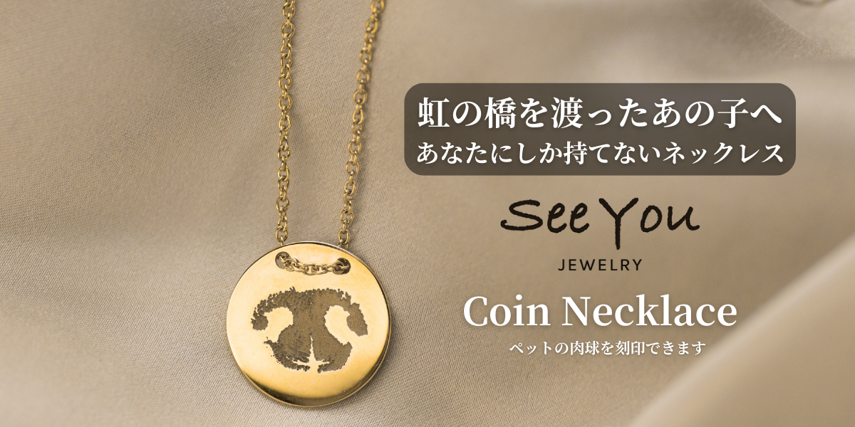 【See You Jewelry】コインネックレス イエローゴールド