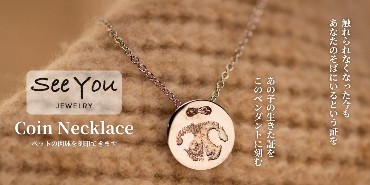 【See You Jewelry】コインネックレス シルバー