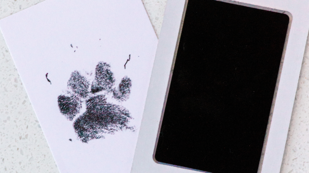 肉球スタンプの採り方を解説