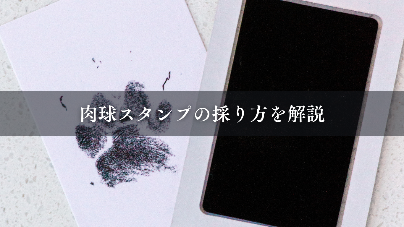 肉球スタンプの採り方を解説