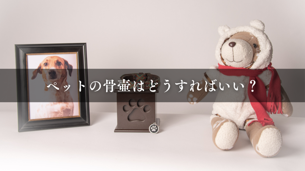 ペットの骨壷はどうすればいい？おしゃれに分骨する供養方法を解説