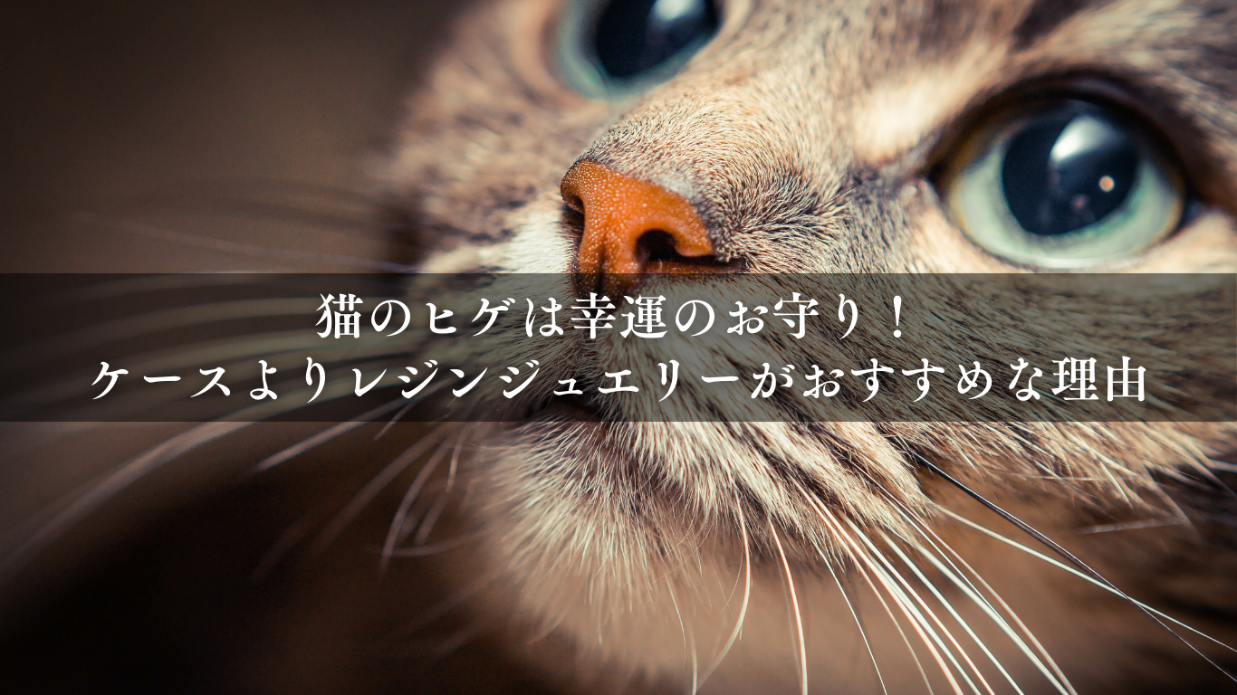 猫のヒゲは幸運のお守り！ケースよりレジンジュエリーがおすすめな理由